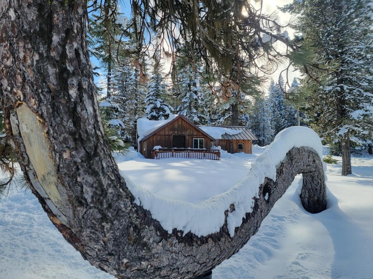 Mount Hood Cooper Spur Mountain Resort מראה חיצוני תמונה