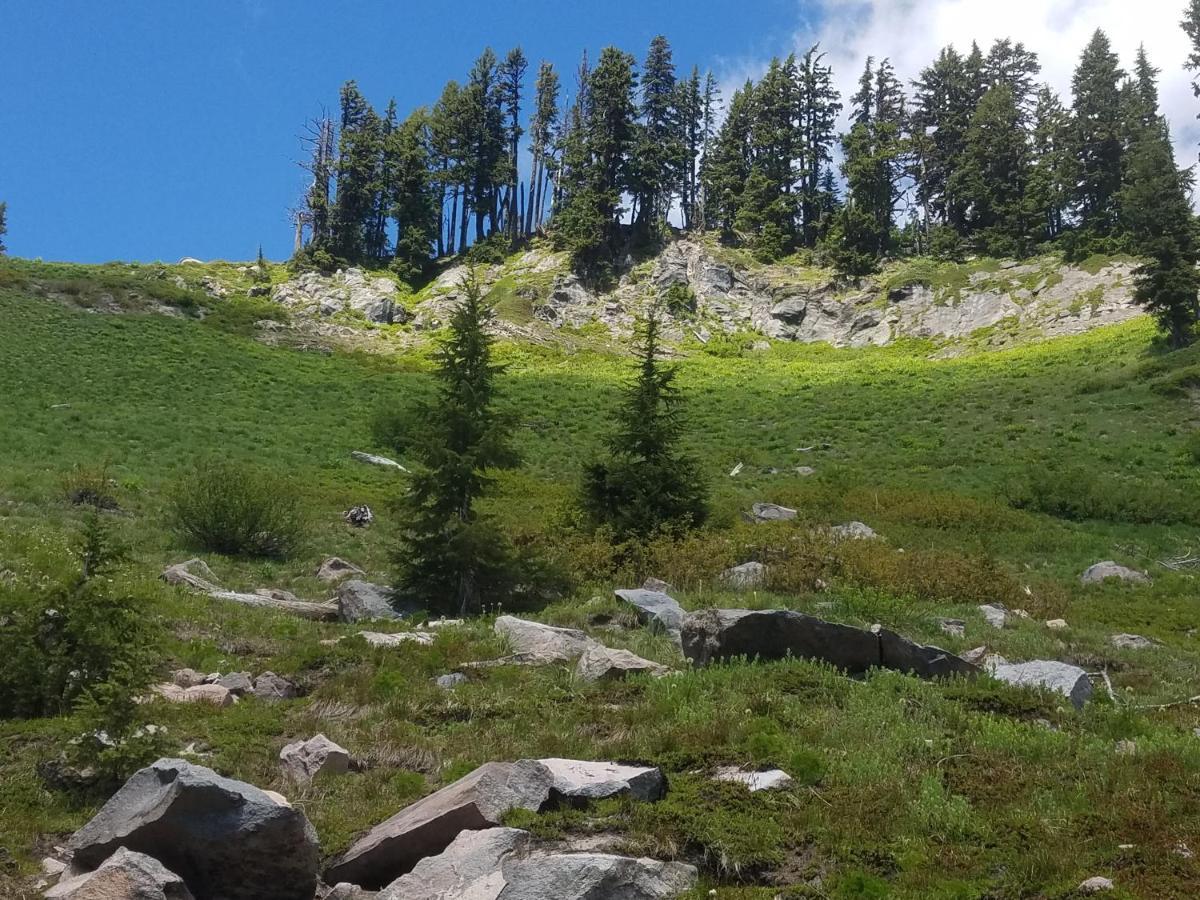 Mount Hood Cooper Spur Mountain Resort מראה חיצוני תמונה
